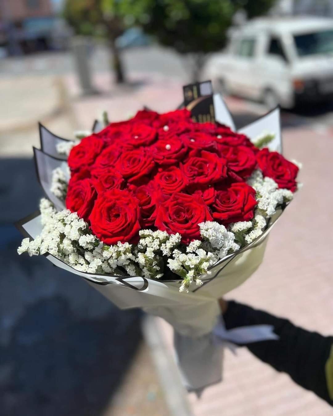 Un magnifique bouquet de roses