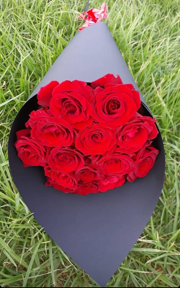 fleurs rouge